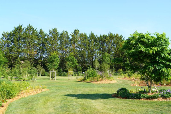 Arboretum de La Perrée © Ville de Fondettes